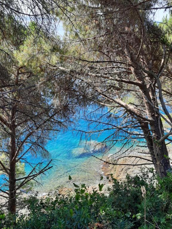 Appartamento Il Vicoletto La Spezia Extérieur photo