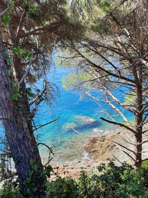 Appartamento Il Vicoletto La Spezia Extérieur photo