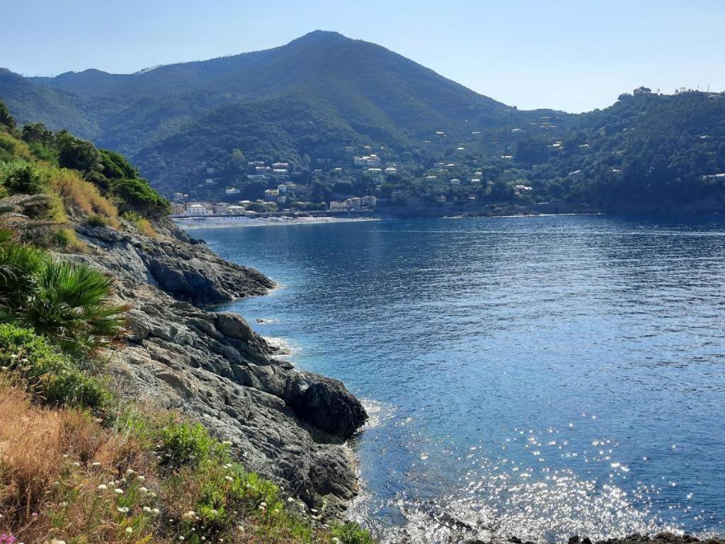 Appartamento Il Vicoletto La Spezia Extérieur photo
