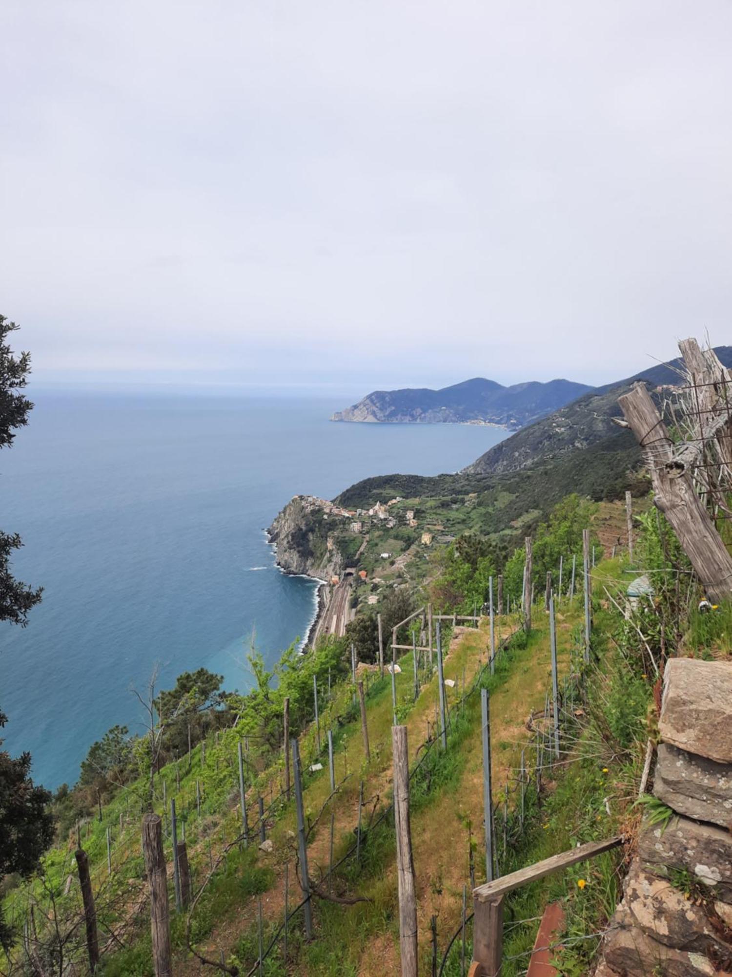 Appartamento Il Vicoletto La Spezia Extérieur photo